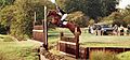 Foxpitt2