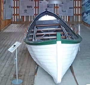 Francis Metallic Surfboat Douglas MI