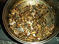 Funghi.champignon cotti