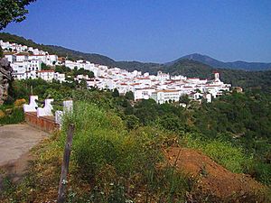 Panoramic view of Genalguacil