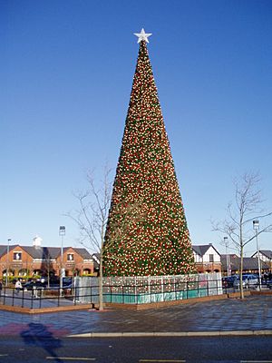 Giant Christmas Tree, Cheshire Oaks - geograph.org.uk - 1068113