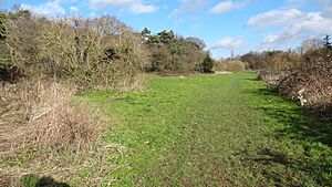 Grove Farm, Ealing 1