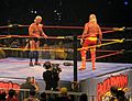 Hogan Vs Flair