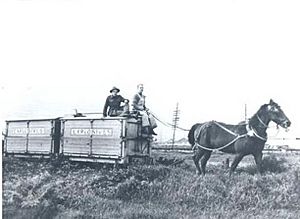 Horse-drawn explosives carrying wagons in the Dry Creek Explosive Magazine in South Australia