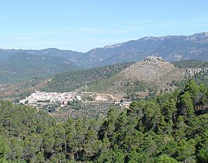 An overview of Cotillas.