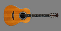 Josh White's custom made Ovation guitar
