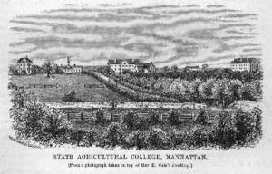 Kansas State University 1878