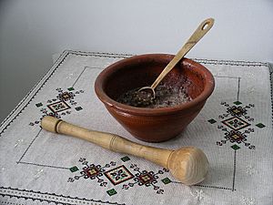 Kutya