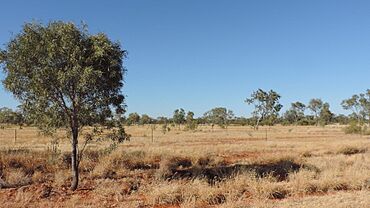Landscape beside the Boulia Mount Isa Highway, Waverley, Shire of Boulia, 2019.jpg
