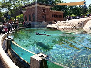 Lincoln park zoo pre-school field trip (18205815689)
