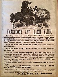 Long Branch Plantation horse sale 1883