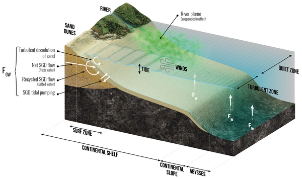 Low-temperature processes controlling silicon dissolution in seawater
