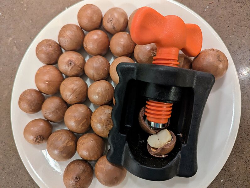 Macadamia cracking tool
