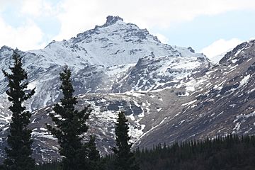 Mount Healy in spring (aa7222bc-49a0-4f29-b704-8fc66e466179).jpg