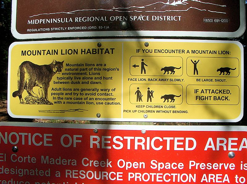MountainLionAttackProtocol
