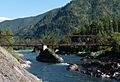 Natural Pier Bridge (2013)