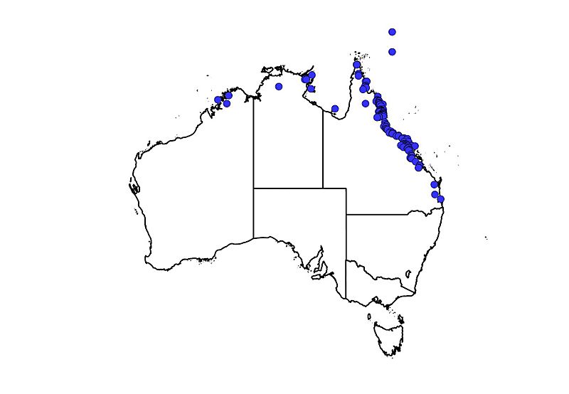 Natural distribution of Cycas media
