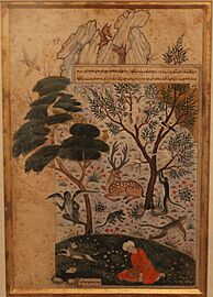 Nature study, Mughal era, National Museum, New Delhi