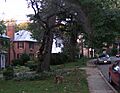 Northwood Historic District (Baltimore) 1