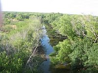 Nueces River at Cotulla, TX IMG 0452