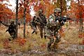 Paratroopers at Fort Liberty, 2006