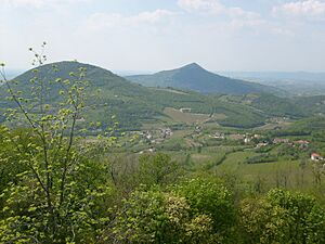 Particolare dei Colli Euganei