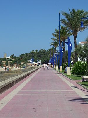 Playa de la Barrosa - Paseo marítimo