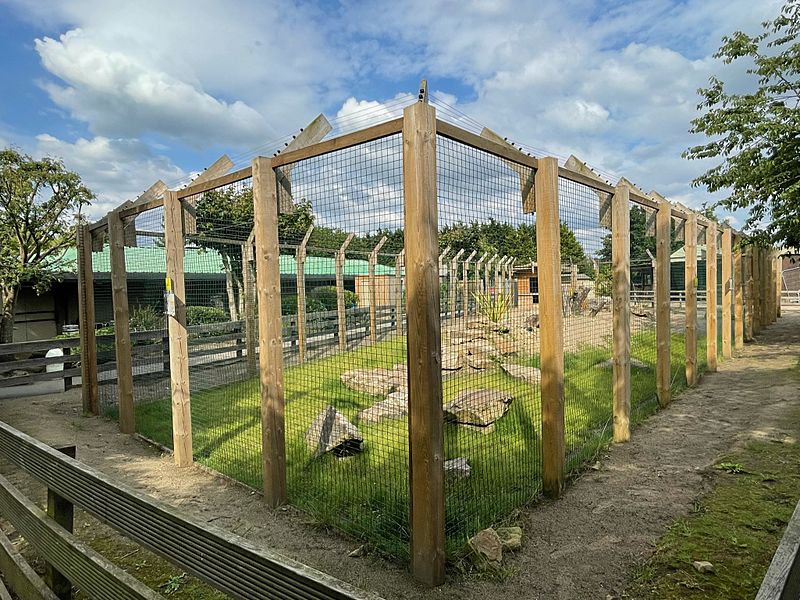 Ponderosa Zoo Serval Enclosure 2021