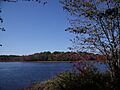 Saint John River seen from Route 102 near Gagetown, NB, Canada