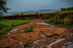Seasonal river at Kidepo Valley National Park by Tracy Precious Musiimenta