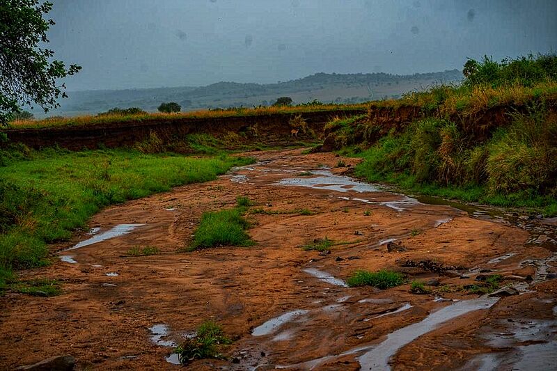 Seasonal river at Kidepo Valley National Park by Tracy Precious Musiimenta