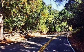 Silverado Canyon Road, 2015