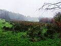 Source of the River Culm