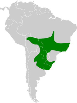 Sporophila collaris map.svg