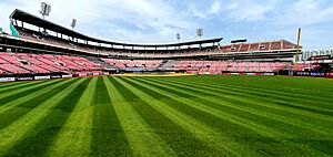 Suwon Sports Complex Baseball Stadium