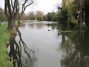 Totteridge Common Long Pond
