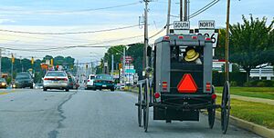 Traditional Amish buggy