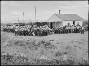 Tule Lake Relocation Center, Newell, California. A view in the lunch shed at the farm. Trucks from . . . - NARA - 538339
