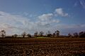 Tumulus - Wyaston - geograph.org.uk - 1701807