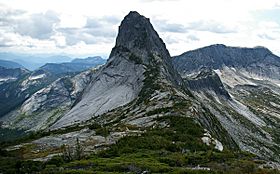 Vicuna Peak and Alpaca Peak