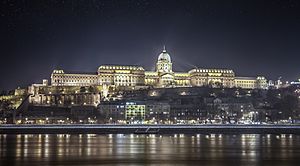 View of Buda Castle from the Danube River. - Budapest. 61 365² Opulencia (8261886103)