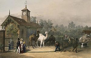 View of the Zoological Gardens1835