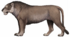 W. Gornig - P. spelaea spelaea 02.png