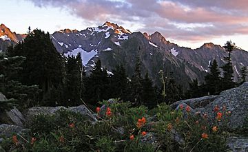 White Mountain & wildflowers.jpg