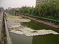Yangzhuanghe - CIMG3404