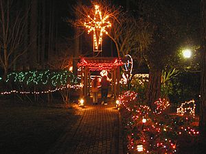 2007 GuidoGardensLightDisplay 1