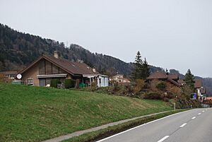 2010-03-28 Rümligen (Foto Dietrich Michael Weidmann) 184
