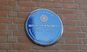 2014 Knowles plaque IngeniousIE