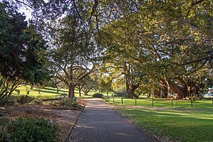 2015-09-13 Royal Botanic Gardens, Sydney - 4