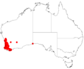 Acacia wildenowianaDistMap961 - Copy